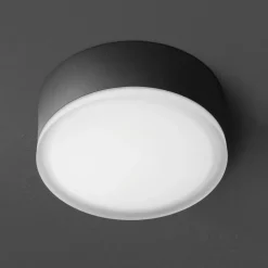 Udendørs Loftlamper ^ LCD LED-loftslampe 1421 til udendørs brug, grafit Ø 20,5 cm