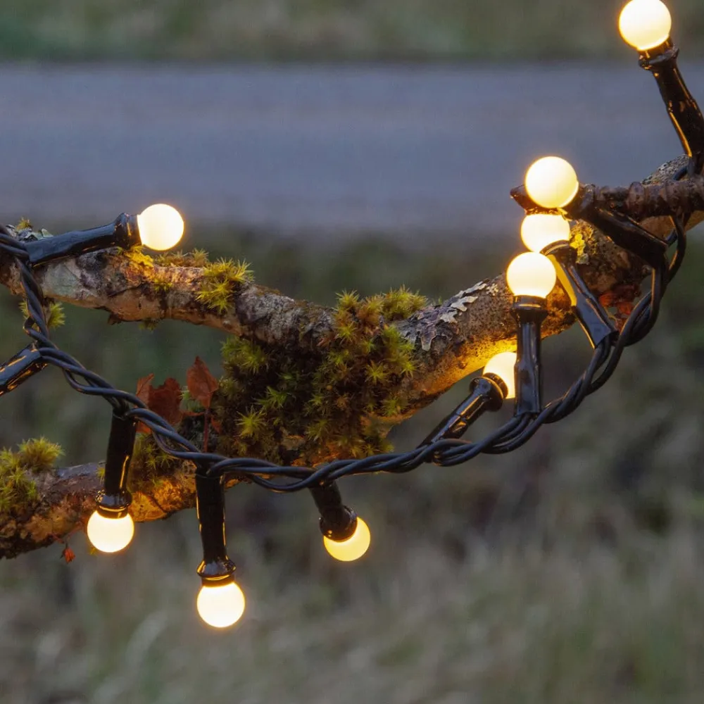 STAR TRADING Dekorationsbelysning > LED-lyskæde Berry Mini med timerfunktion hvid