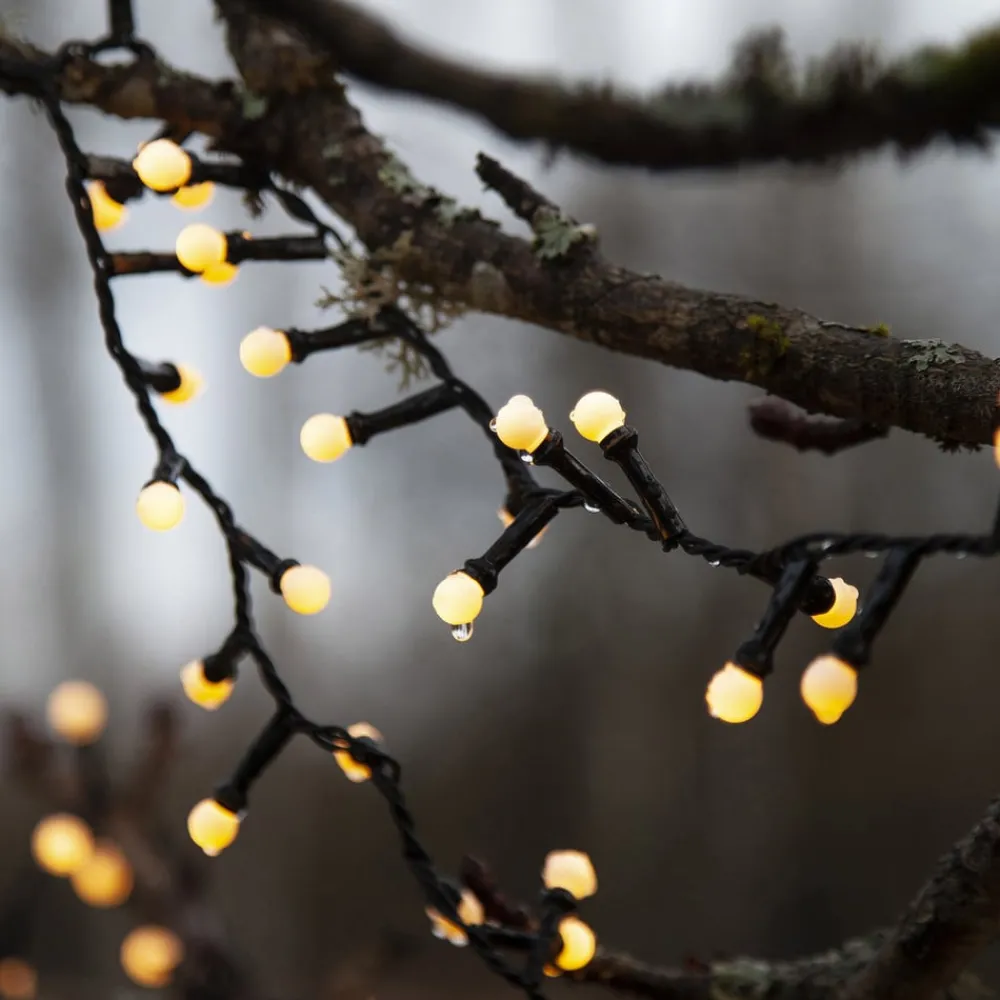 STAR TRADING Dekorationsbelysning > LED-lyskæde Berry Mini med timerfunktion hvid