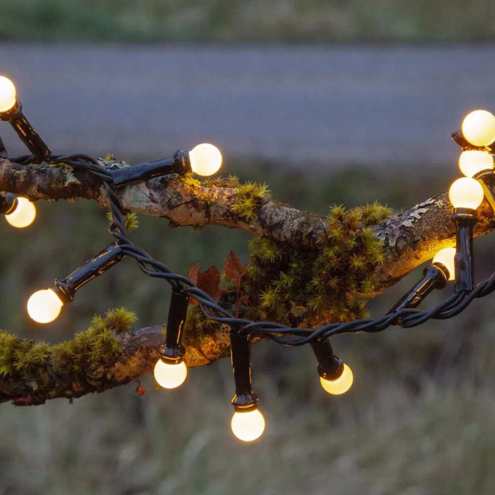 STAR TRADING Dekorationsbelysning > LED-lyskæde Berry Mini med timerfunktion hvid