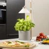 Bordlamper ^ Smartwares LED-plantebelysning ISL-60028