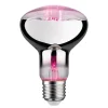 Paulmann Led Pærer > LED-plantepære E27 R80 6,5W