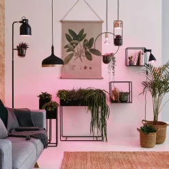 Paulmann Led Pærer > LED-plantepære E27 R80 6,5W