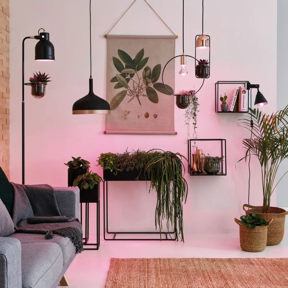 Paulmann Led Pærer > LED-plantepære E14 R50 4W