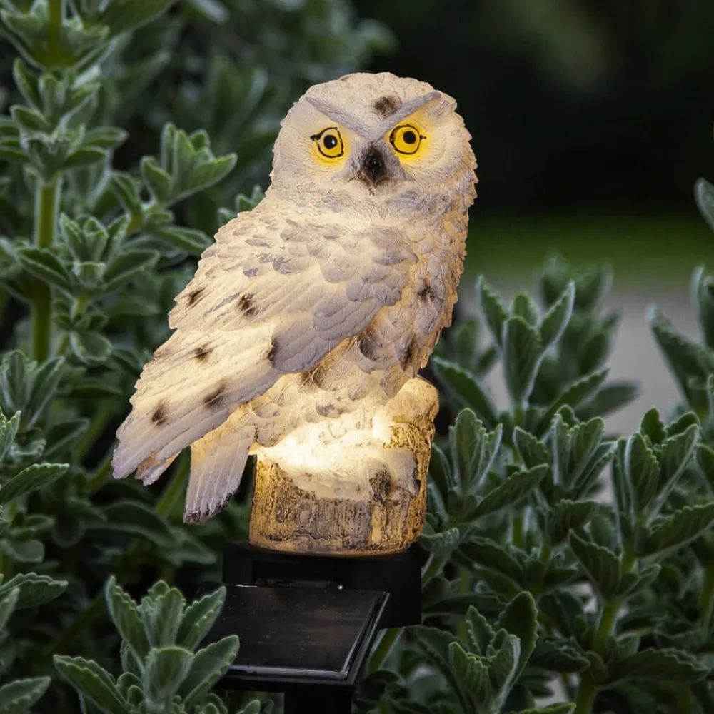 Solcellelamper ^ STAR TRADING LED-solcellelampe Owl med jordspyd