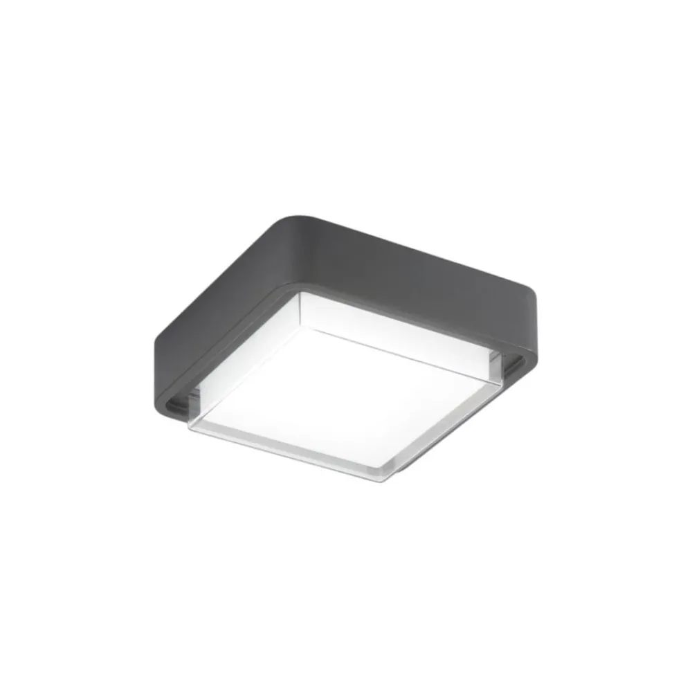 Fabas Luce Udendørs Loftlamper > LED udendørs loftlampe Diuk, mørkegrå, metal, IP65