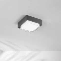 Fabas Luce Udendørs Loftlamper > LED udendørs loftlampe Diuk, mørkegrå, metal, IP65