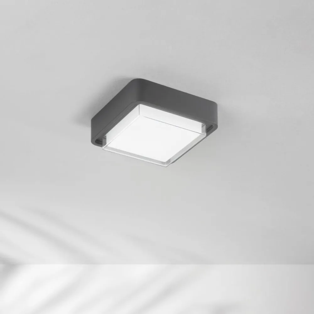 Fabas Luce Udendørs Loftlamper > LED udendørs loftlampe Diuk, mørkegrå, metal, IP65
