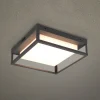Trio Lighting Udendørs Loftlamper > LED udendørs loftslampe Witham IP54, CCT, antracit