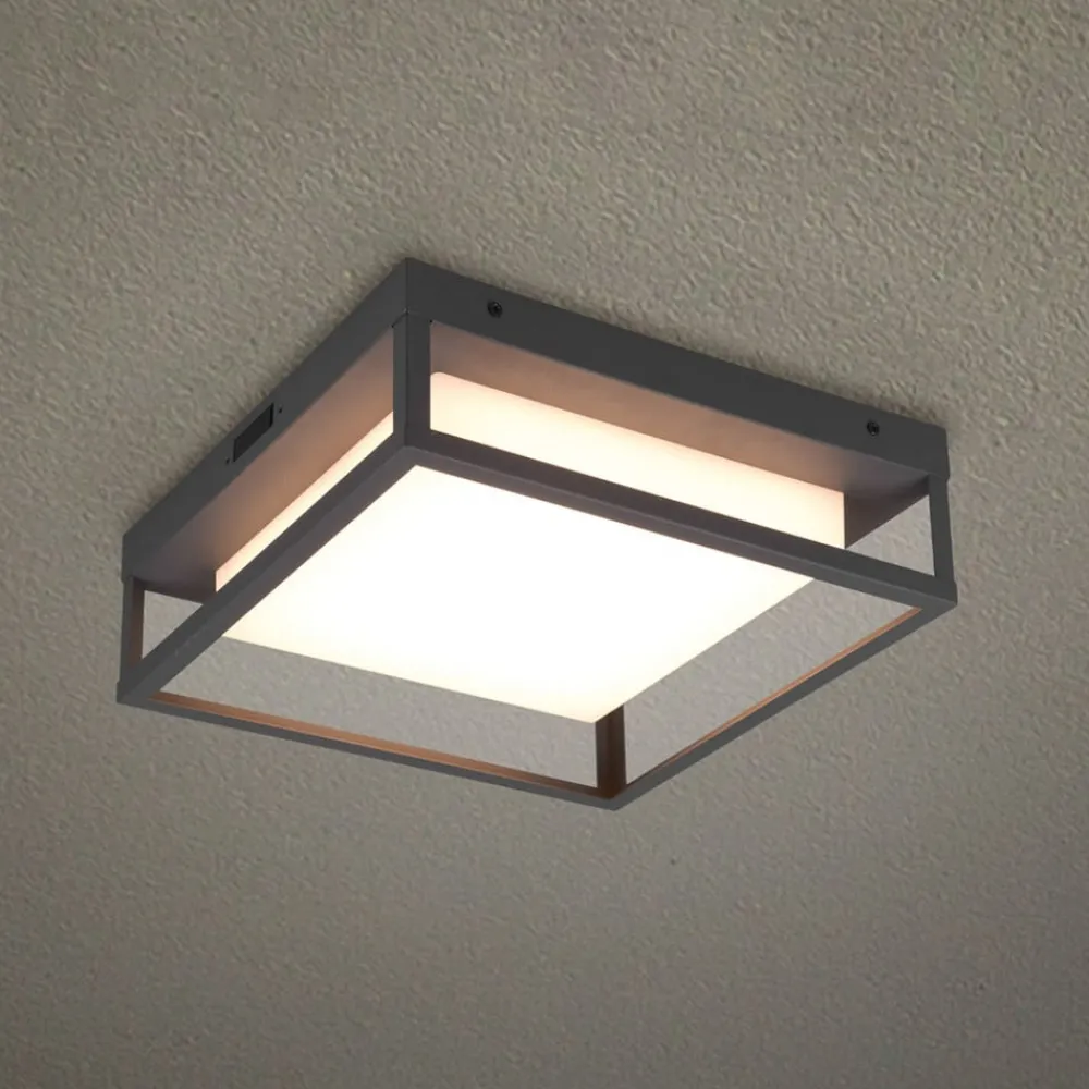 Trio Lighting Udendørs Loftlamper > LED udendørs loftslampe Witham IP54, CCT, antracit