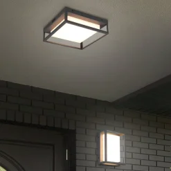 Trio Lighting Udendørs Loftlamper > LED udendørs loftslampe Witham IP54, CCT, antracit