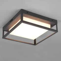 Trio Lighting Udendørs Loftlamper > LED udendørs loftslampe Witham IP54, CCT, antracit