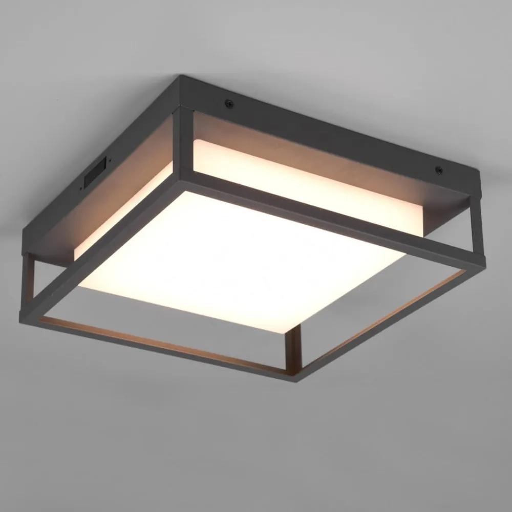 Trio Lighting Udendørs Loftlamper > LED udendørs loftslampe Witham IP54, CCT, antracit
