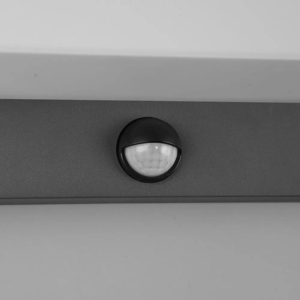Væglampe Med Sensor ^ Trio Lighting LED udendørs væglampe Nestos, bevægelsessensor, IP54