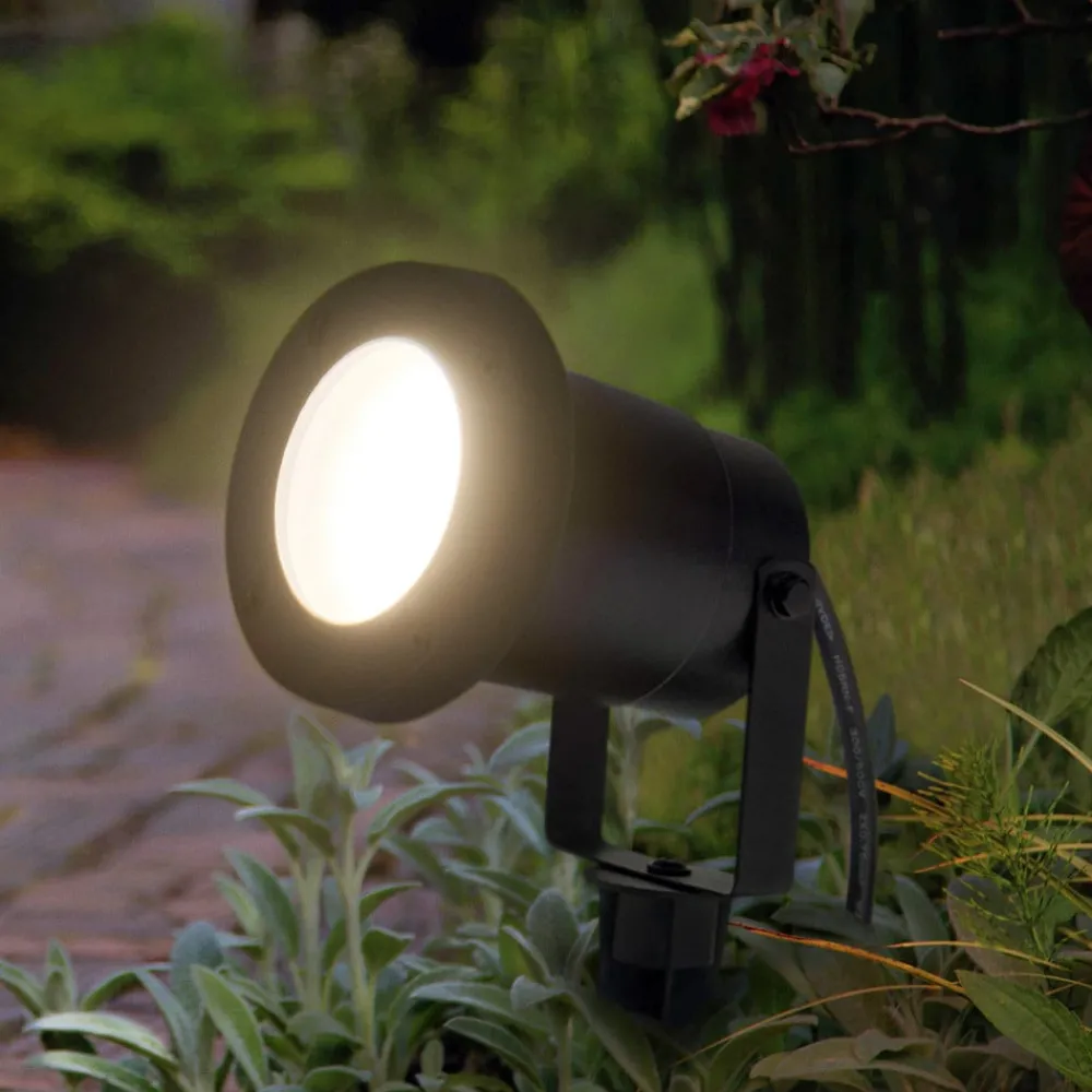 Udendørs Spot ^ LEDVANCE LED jordspydslys Endura Hybrid Naut Spike 2W
