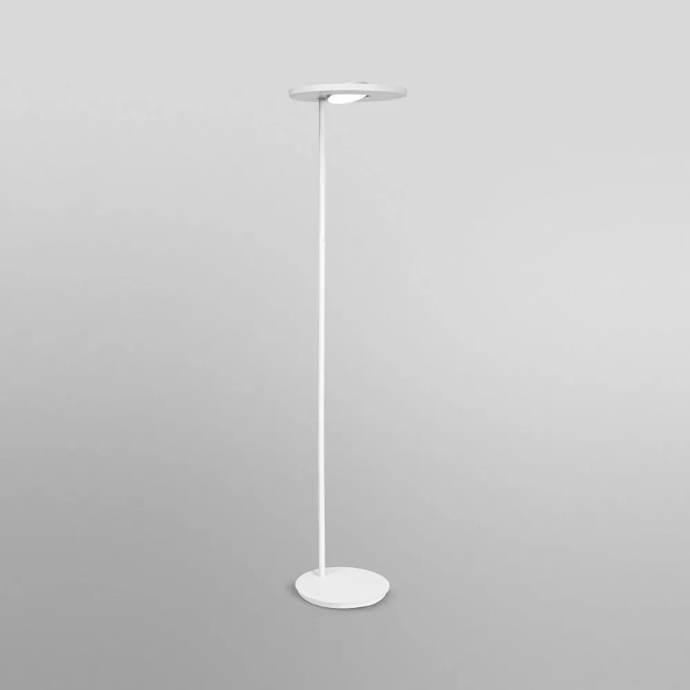 LEDVANCE SMART+ Arbejdsrum/Kontor|Gulvlamper > LEDVANCE SUN@Home Panan Floor LED-gulvlampe
