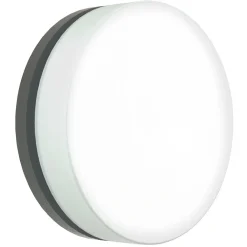 Albert Leuchten Væglamper > LED-væglampe 6309 antracit, IP65, Ø 31 cm