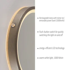 Paul Neuhaus Møbel Og Interiør > LED-vægspegel VIDRO, bronze, Ø 26 cm, powerbank, afbryder