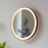 Paul Neuhaus Møbel Og Interiør > LED-vægspegel VIDRO, bronze, Ø 36 cm, powerbank, afbryder