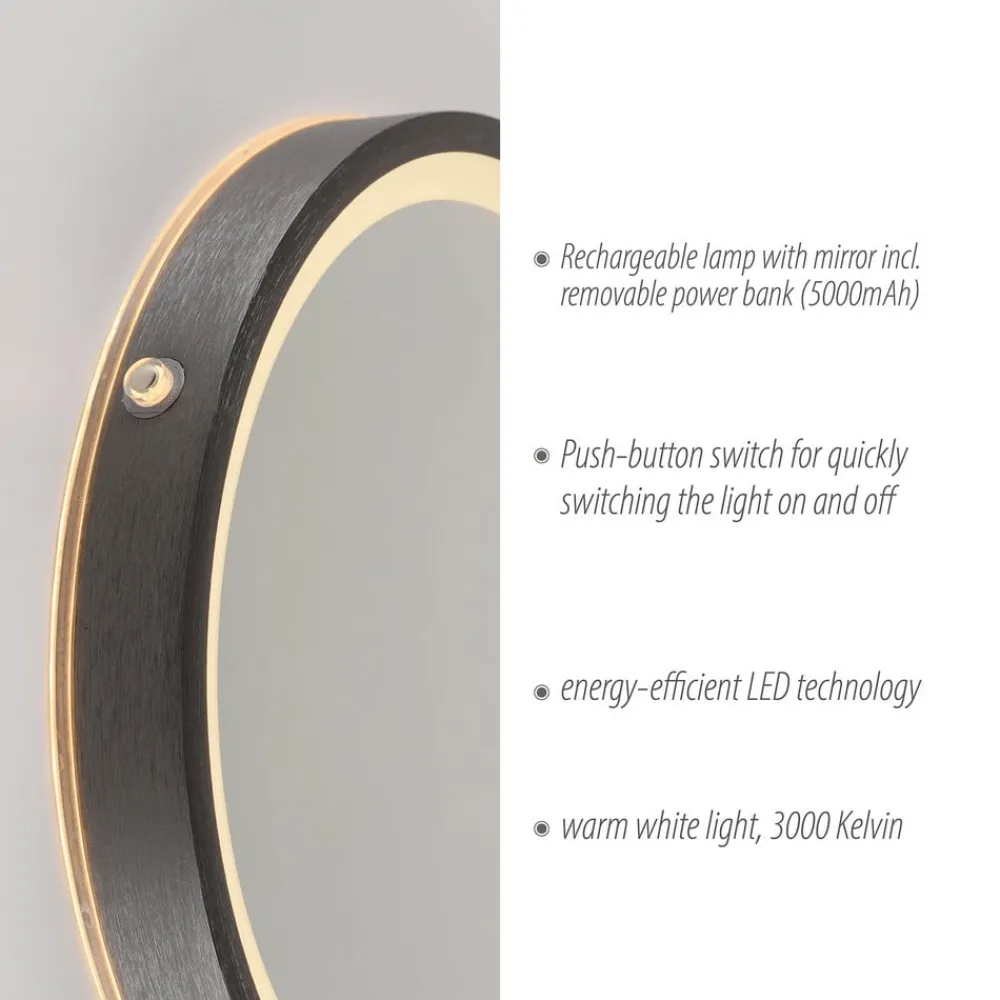 Paul Neuhaus Møbel Og Interiør > LED-vægspegel VIDRO, grå, Ø 26 cm, powerbank, afbryder