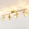 Gang|Loftlamper ^ Lindby Kosta loftlampe, 4 lyskilder, messing