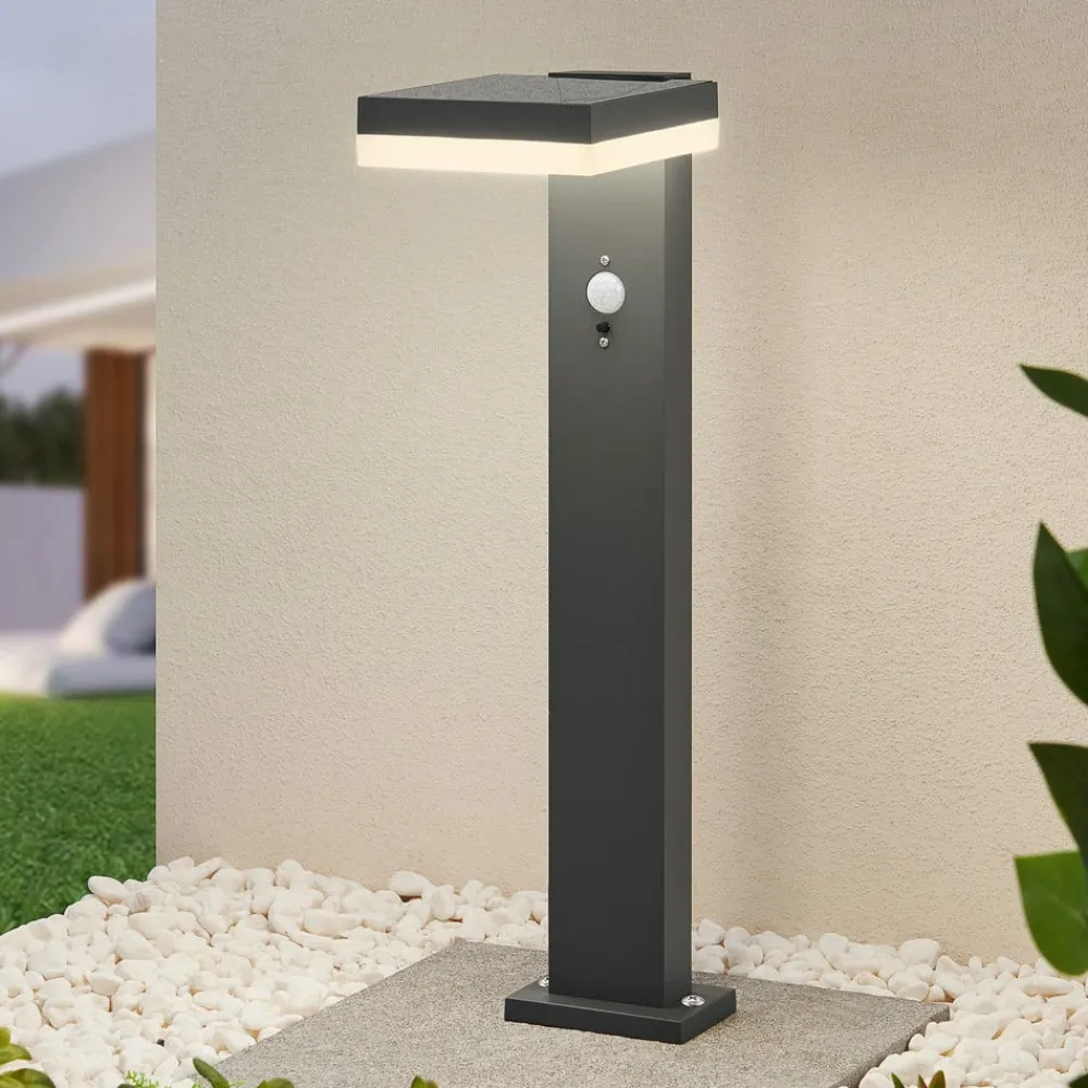 Lindby Solcelle Lampe Med Sensor|Væglampe Med Sensor > Laira LED-sokkellampe, solcelle, 50 cm