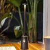Dekorationsbelysning|Terrassebelysning ^ Lindby LED genopladelig bordlampe Noelani, højde 30 cm, IP44, dæmpbar