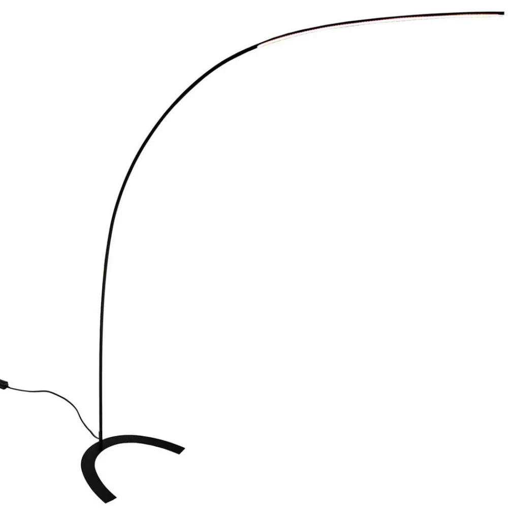 Lindby Arbejdsrum/Kontor|Pendellamper > LED-gulvlampe Danua, sort, metal, højde 200 cm