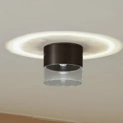 Loftlamper ^ Lindby LED-loftslampe Dalila, sort, Ø 10 cm, aluminium