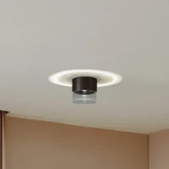 Loftlamper ^ Lindby LED-loftslampe Dalila, sort, Ø 10 cm, aluminium
