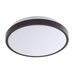 Lindby Loftlamper|Loftlamper > LED-loftslampe Medon Ø 29 cm sort plast IP44