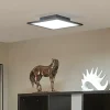 Arbejdsrum/Kontor|Gang ^ Lindby LED-panel Lamin, sort, 30 cm, CCT, dæmpbar, fjernbetjening