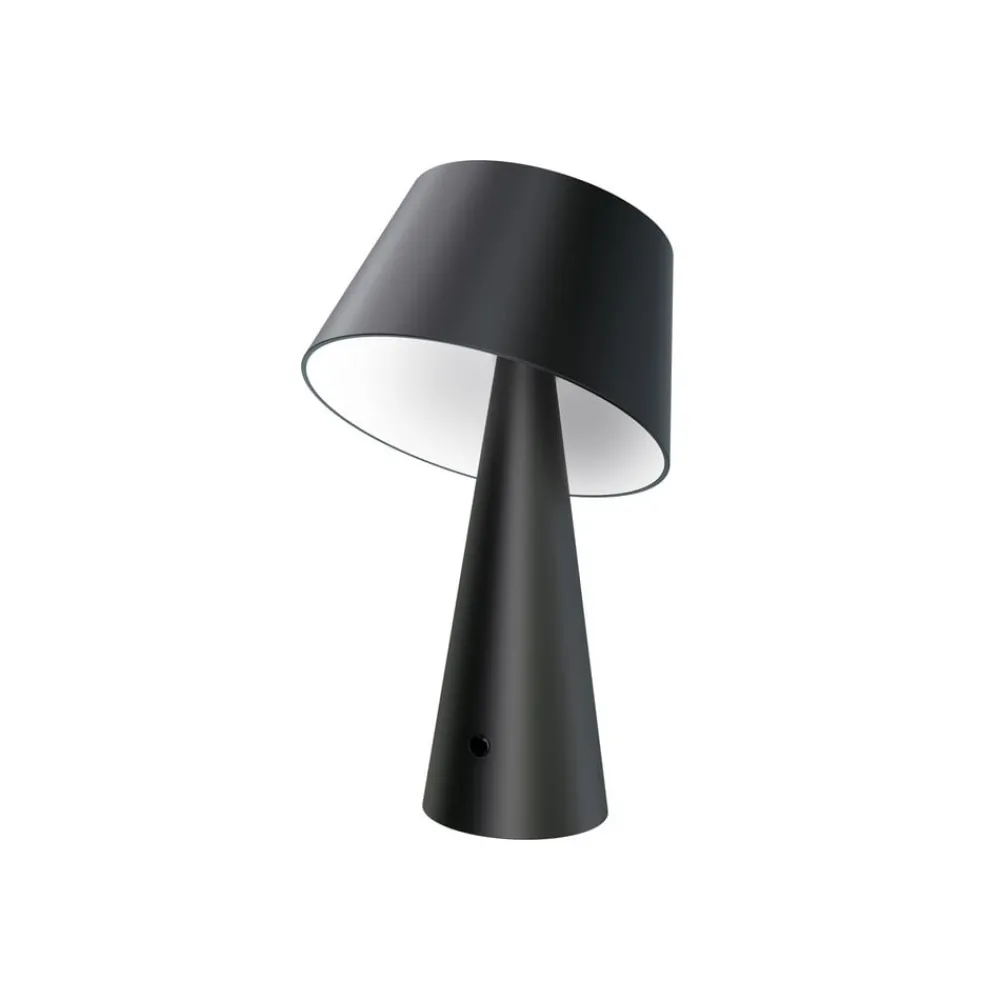 Lindby Solcellelamper > LED-solcellelampe Lirinor sort plast 13 cm