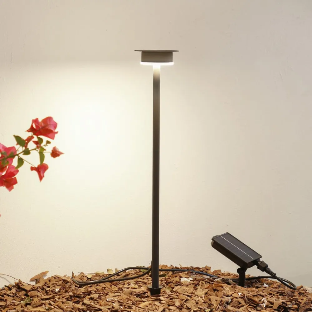 Lindby Dekorationsbelysning|Solcellelamper > LED-solcellelampe Lyris, sort, aluminium, 3.000 K