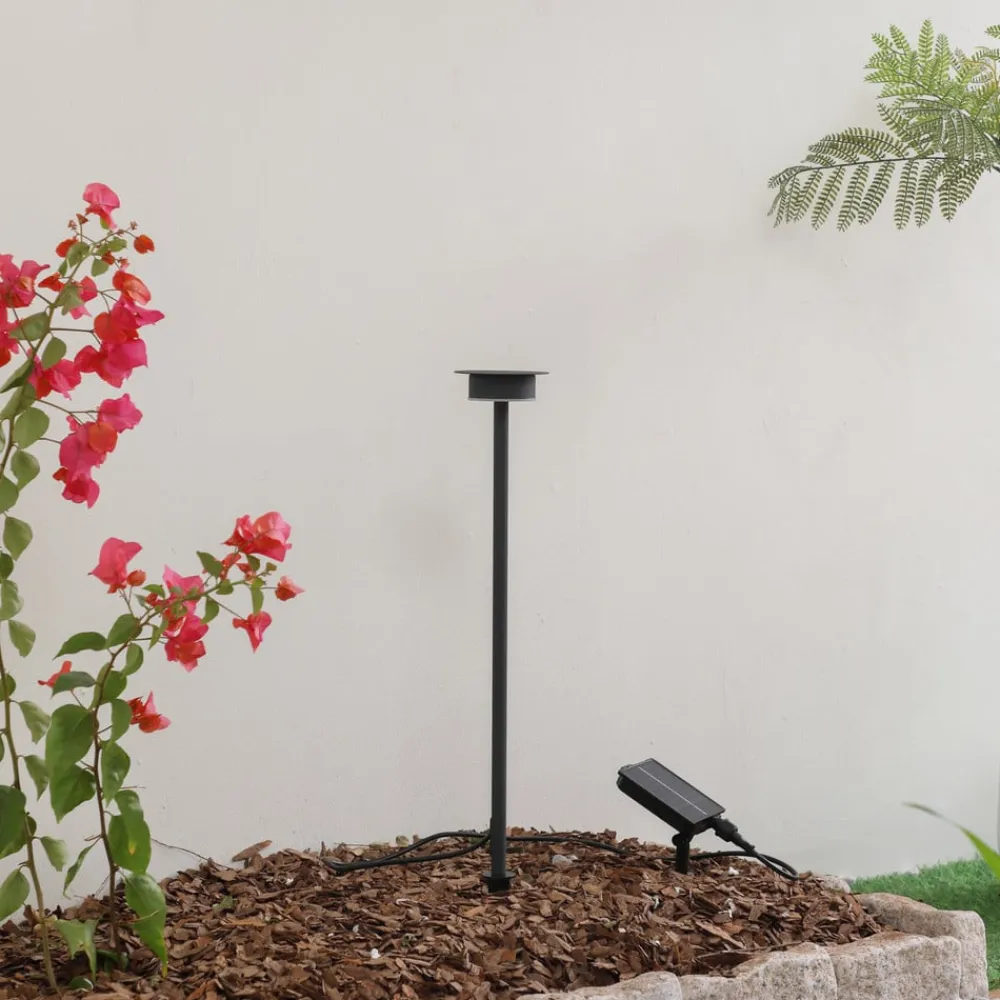 Lindby Dekorationsbelysning|Solcellelamper > LED-solcellelampe Lyris, sort, aluminium, 3.000 K