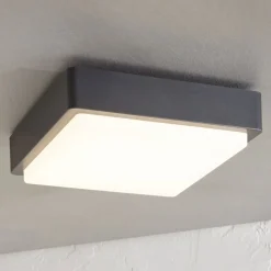 Lindby Udendørs Loftlamper > LED udendørs loftlampe Nermin, 22 cm, IP65, kantet