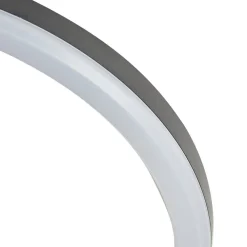Lindby Terrassebelysning|Udendørs Loftlamper > LED udendørs loftlampe Finian, Ø 31 cm, CCT, dæmpbar