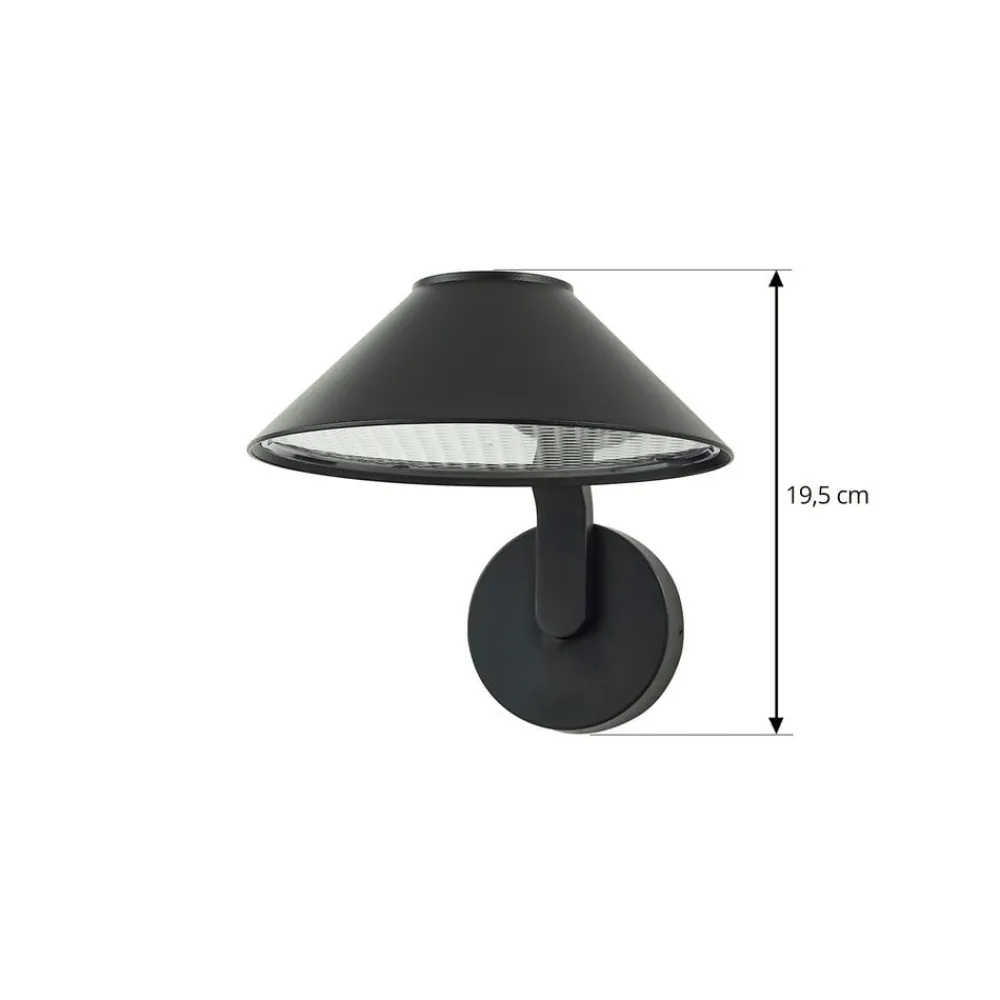 Lindby Terrassebelysning|Væglamper > LED-væglampe Capelo, sort, metal, Ø20cm