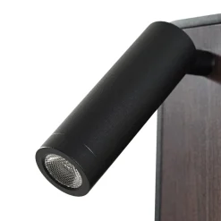 Lindby Væglamper|Væglamper > LED-væglampe Tallis, sort, USB-C, bevægelig