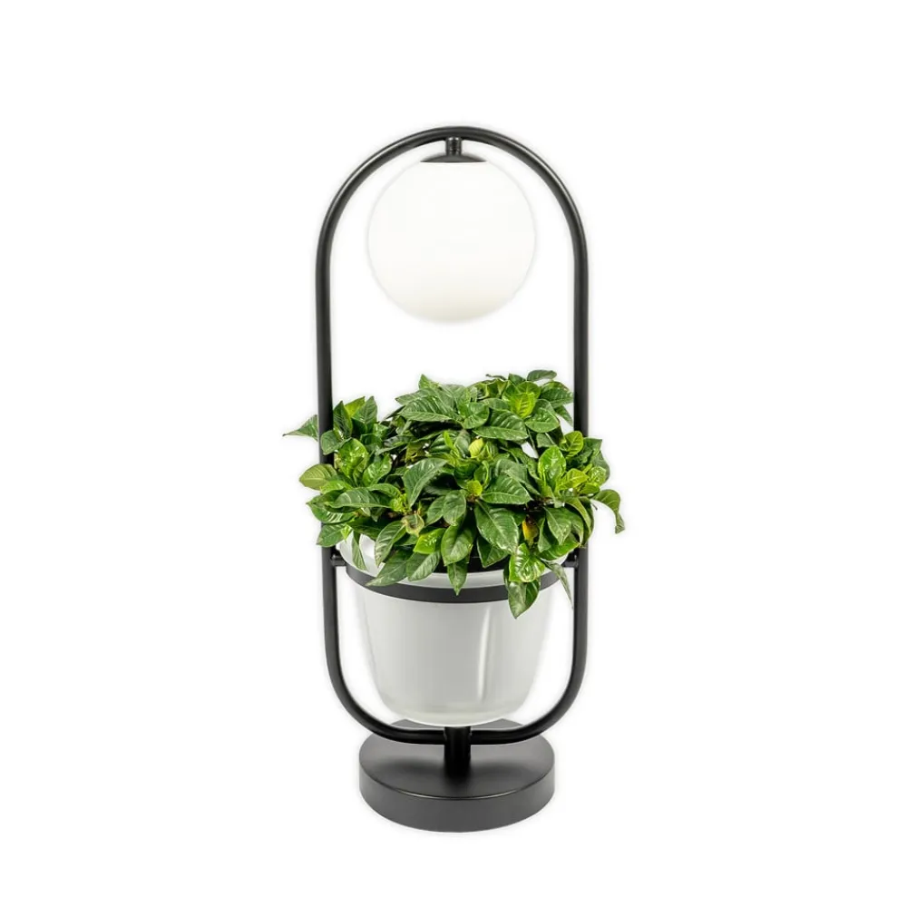 Bordlamper ^ Lindby Orna bordlampe, 1 lyskilde, blomsterampel