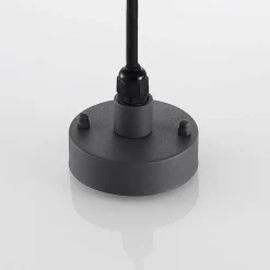 Lindby Udendørs Pendellamper > udendørs hængelampe Filimon, antracit, 22 cm, IP44, E27