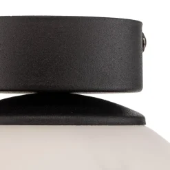 TK Lighting Loftlamper|Loftlamper > Loftlampe Celeste med kugleglas, 1 lyskilde