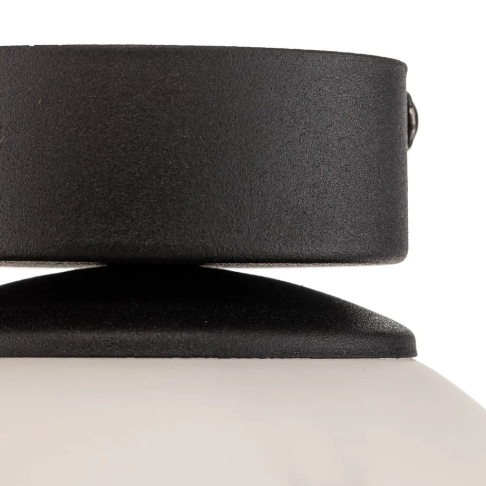 TK Lighting Loftlamper|Loftlamper > Loftlampe Celeste med kugleglas, 1 lyskilde