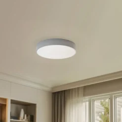 TEMAR LIGHTING Loftlamper > Loftlampe Cleo, Ø 50 cm, IP54, grå, metal, E27