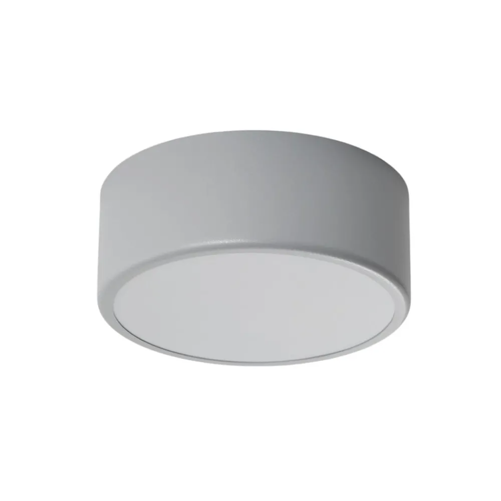 TEMAR LIGHTING Loftlamper|Loftlamper > Loftlampe Cleo, Ø 20 cm, IP54, grå, metal, E27
