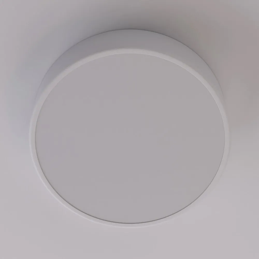 Gang|Loftlamper ^ TEMAR LIGHTING Loftlampe Cleo, Ø 30 cm, IP20, hvid, metal, E27