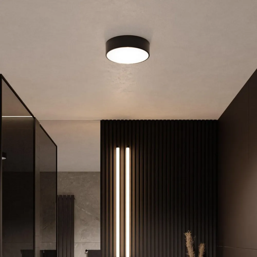 TEMAR LIGHTING Loftlamper|Loftlamper > Loftlampe Cleo, Ø 20 cm, IP54, sort, metal, E27