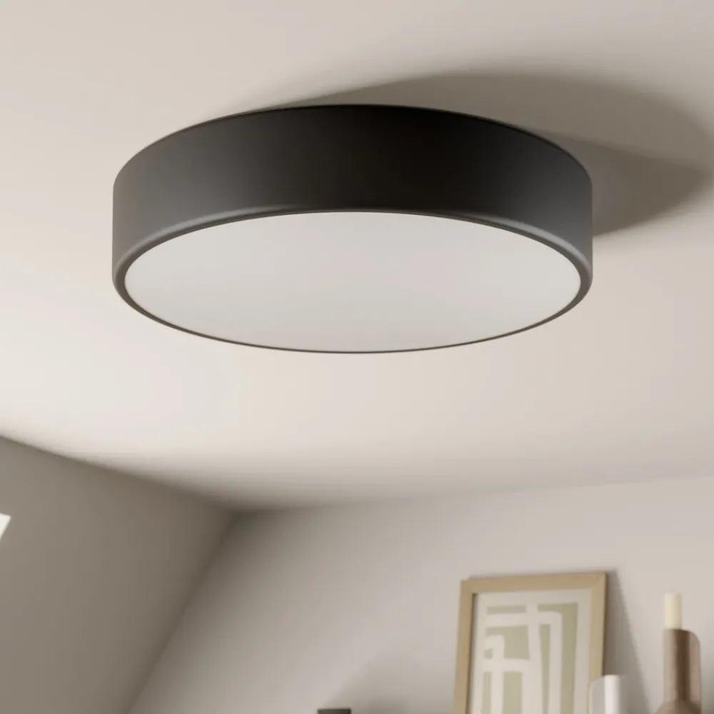 Gang|Loftlamper ^ TEMAR LIGHTING Loftlampe Cleo, Ø 40 cm, IP20, sort, metal, E27