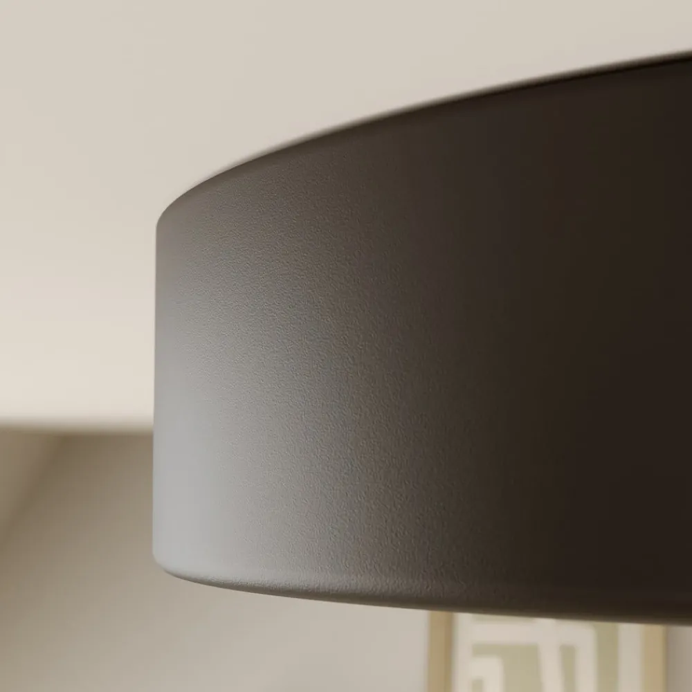 Gang|Loftlamper ^ TEMAR LIGHTING Loftlampe Cleo, Ø 40 cm, IP20, sort, metal, E27