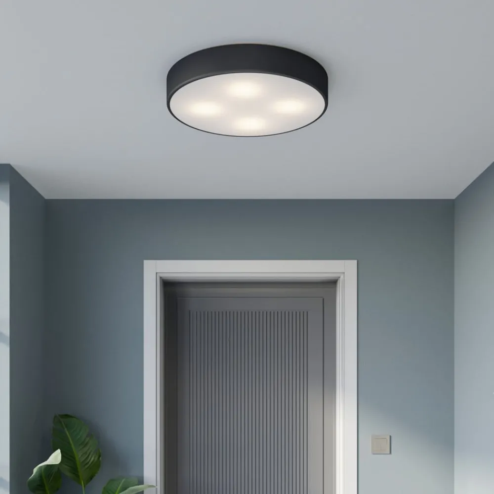 Gang|Loftlamper ^ TEMAR LIGHTING Loftlampe Cleo, Ø 50 cm, IP20, sort, metal, E27